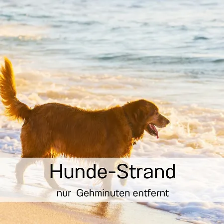 아파트 Ostsee-traumferienwohnungen Bel Vital Mit Meerblick, Balkon Und Sauna