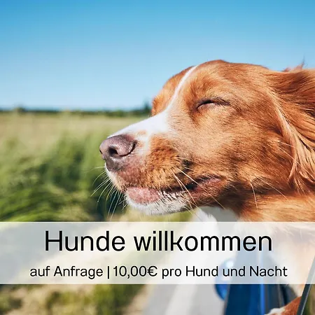 Ostseeurlaub Im Bel Vital - Mit Meerblick Oder Balkon *