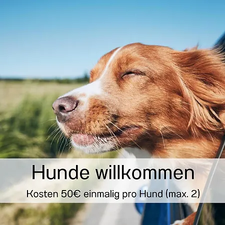 Ostseeurlaub Im Bel Vital - Mit Meerblick Oder Balkon